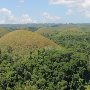 bohol