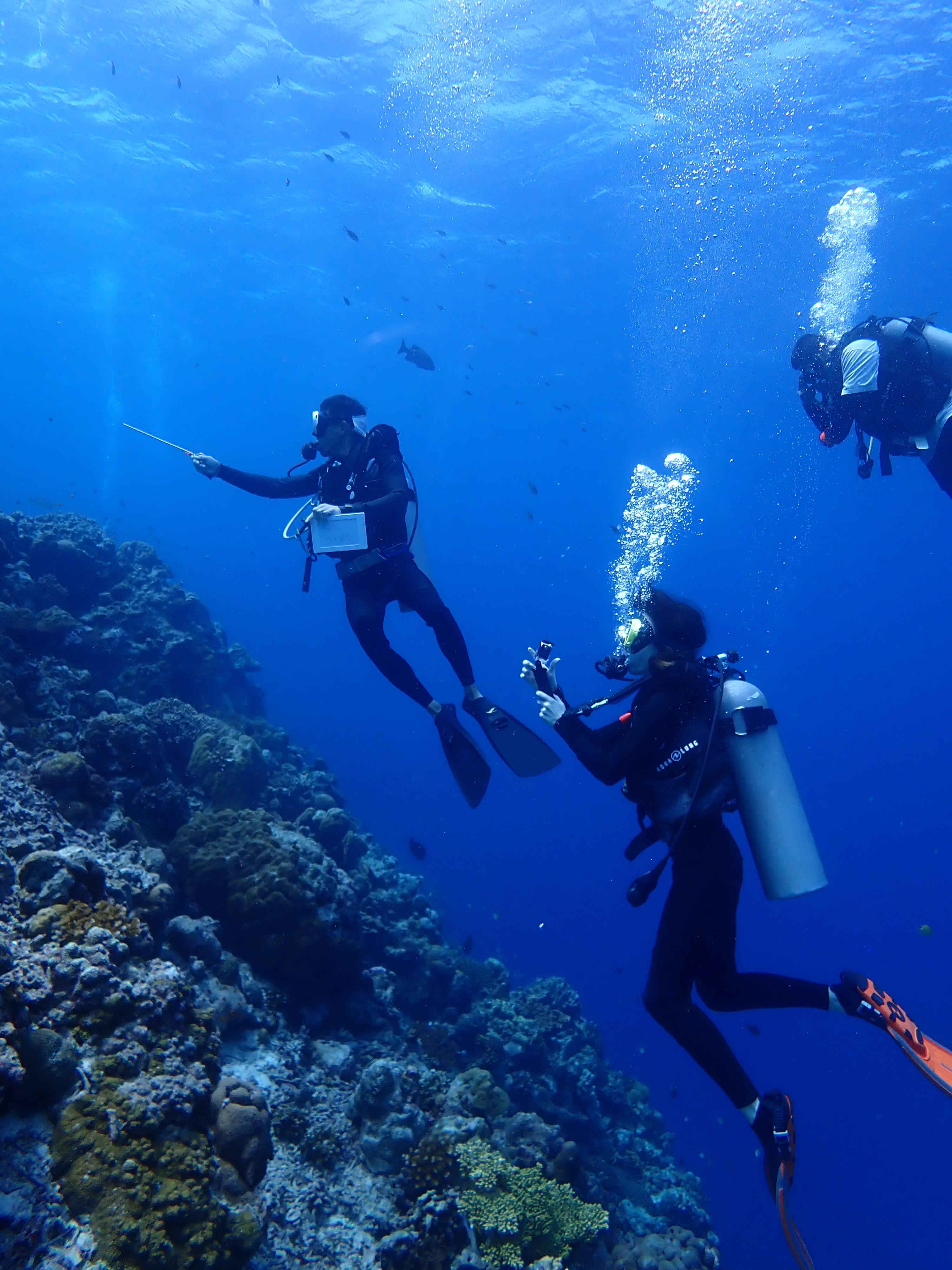 Fun diving
